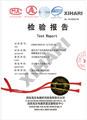 FZN62(VBST16)-12-T125-50试验报告封面