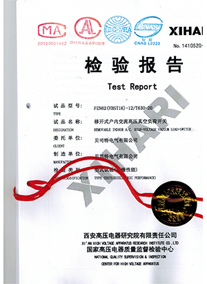 FZN62(VBST16)-12-T630-20试验报告封面